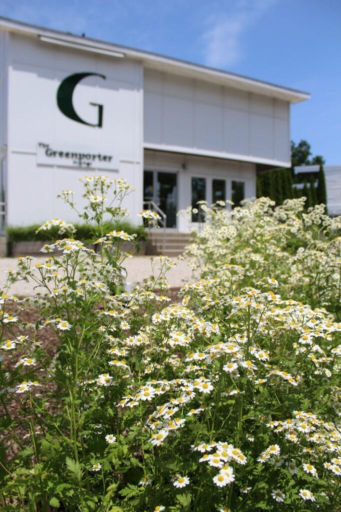 Picture of Greenporter Hotel