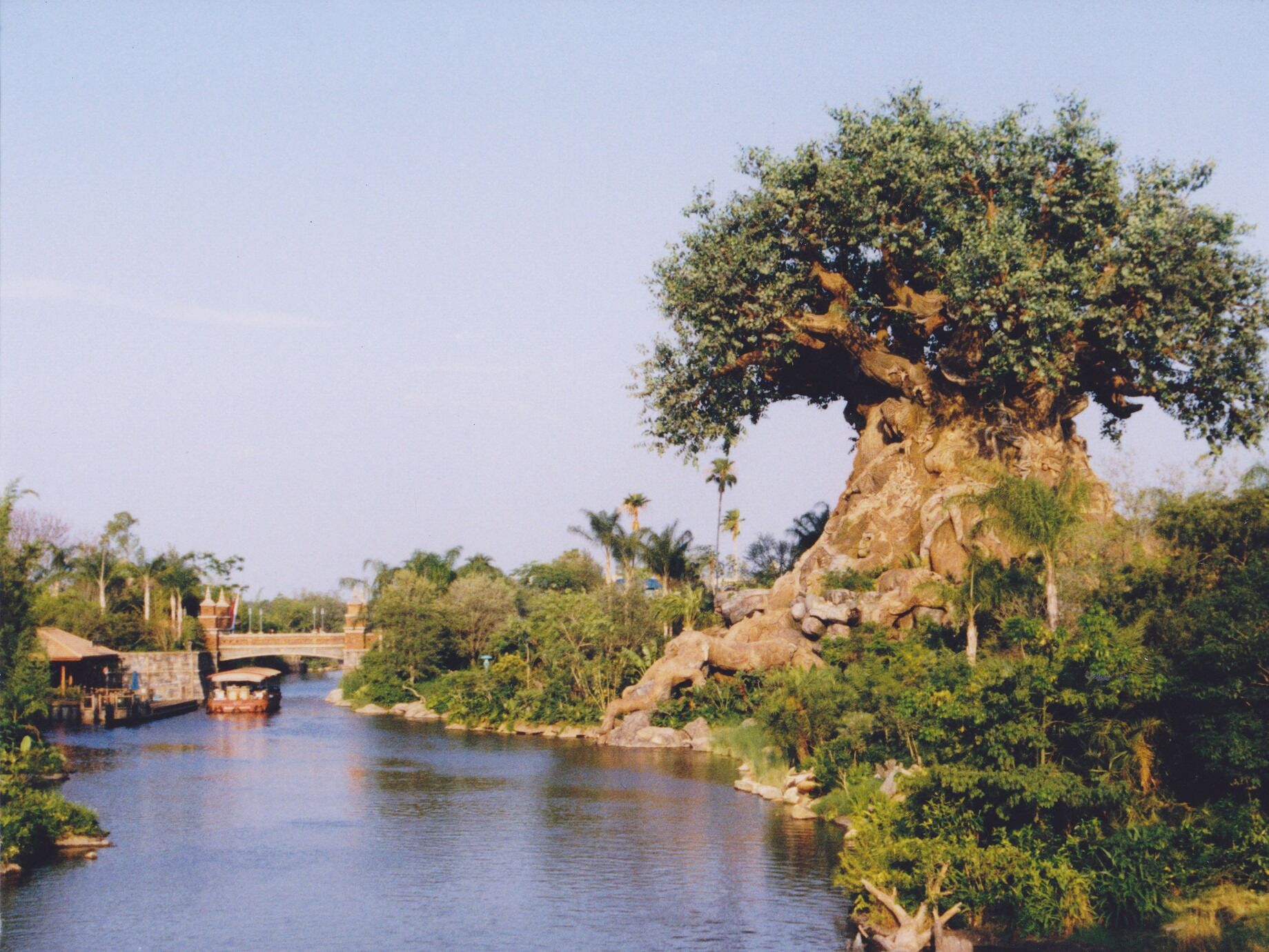 Picture of Disney's Animal Kingdom Theme Park
