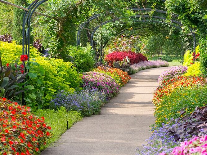 Picture of Cheekwood Botanical Gardens & Estate