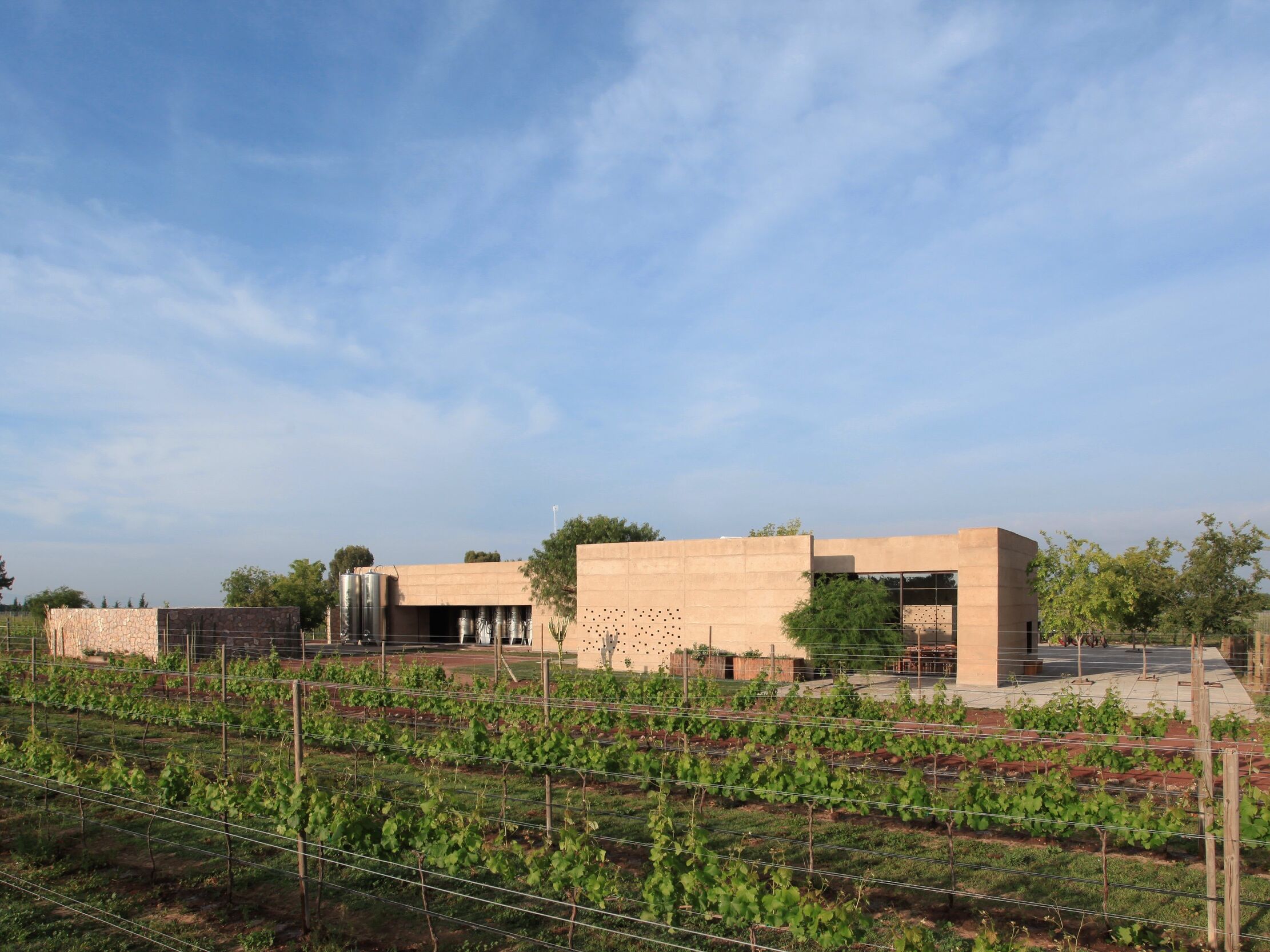 Picture of Viñedo Cuna de Tierra