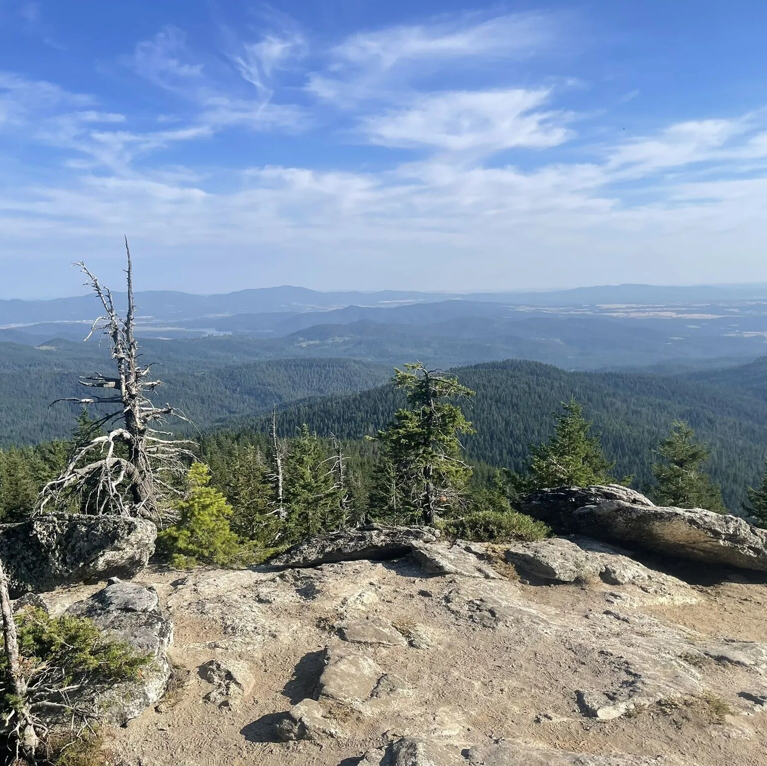 Picture of Mount Spokane State Park