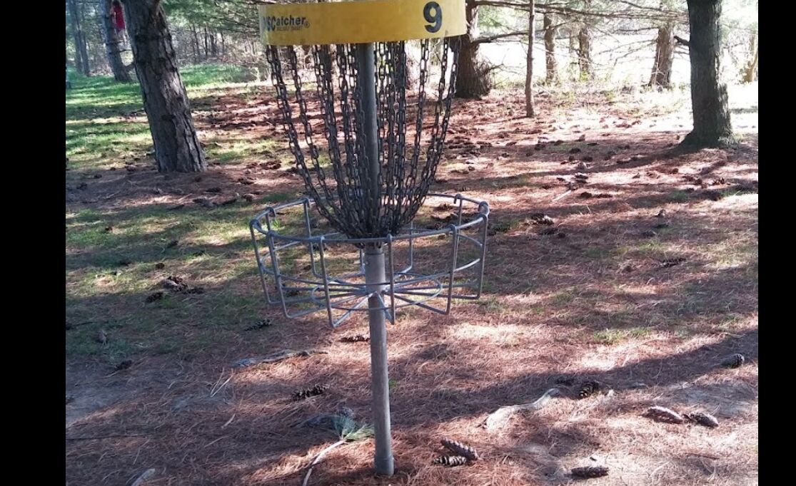 Picture of Disc Golf