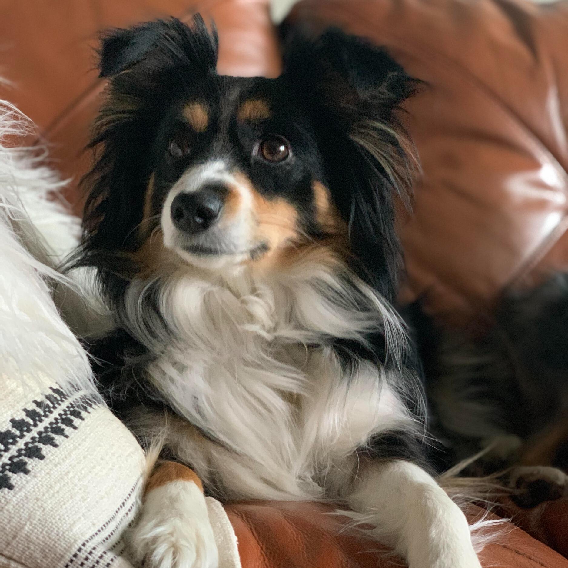 Lilah