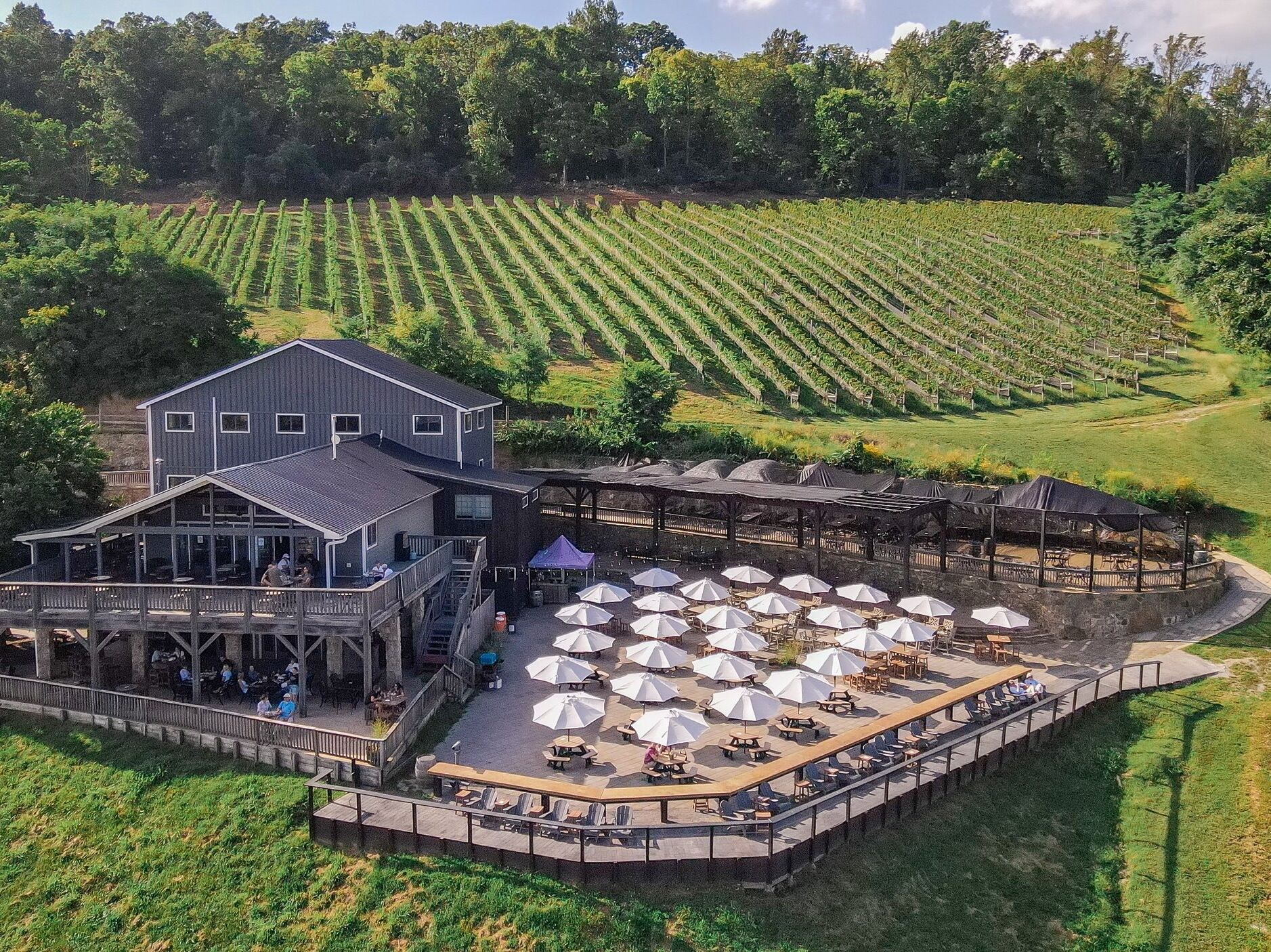 Picture of Bluemont Vineyard