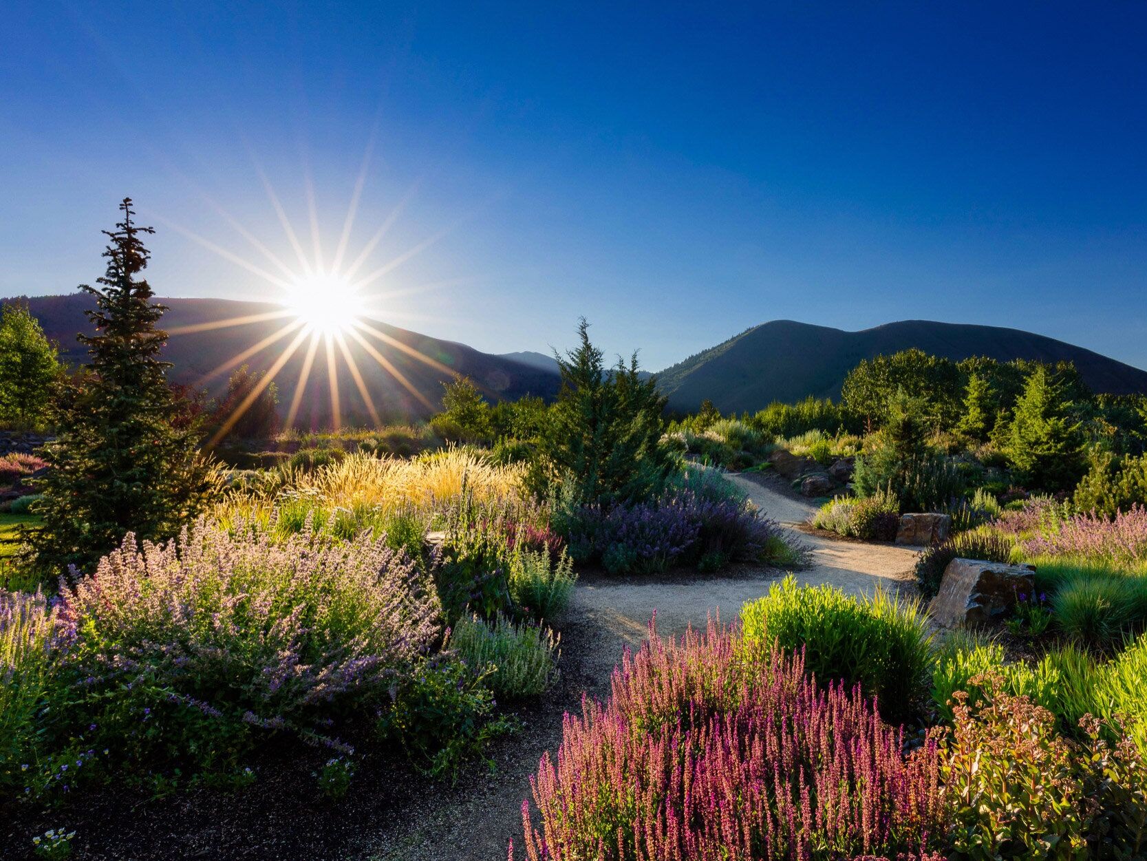 Picture of Idaho Botanical Garden