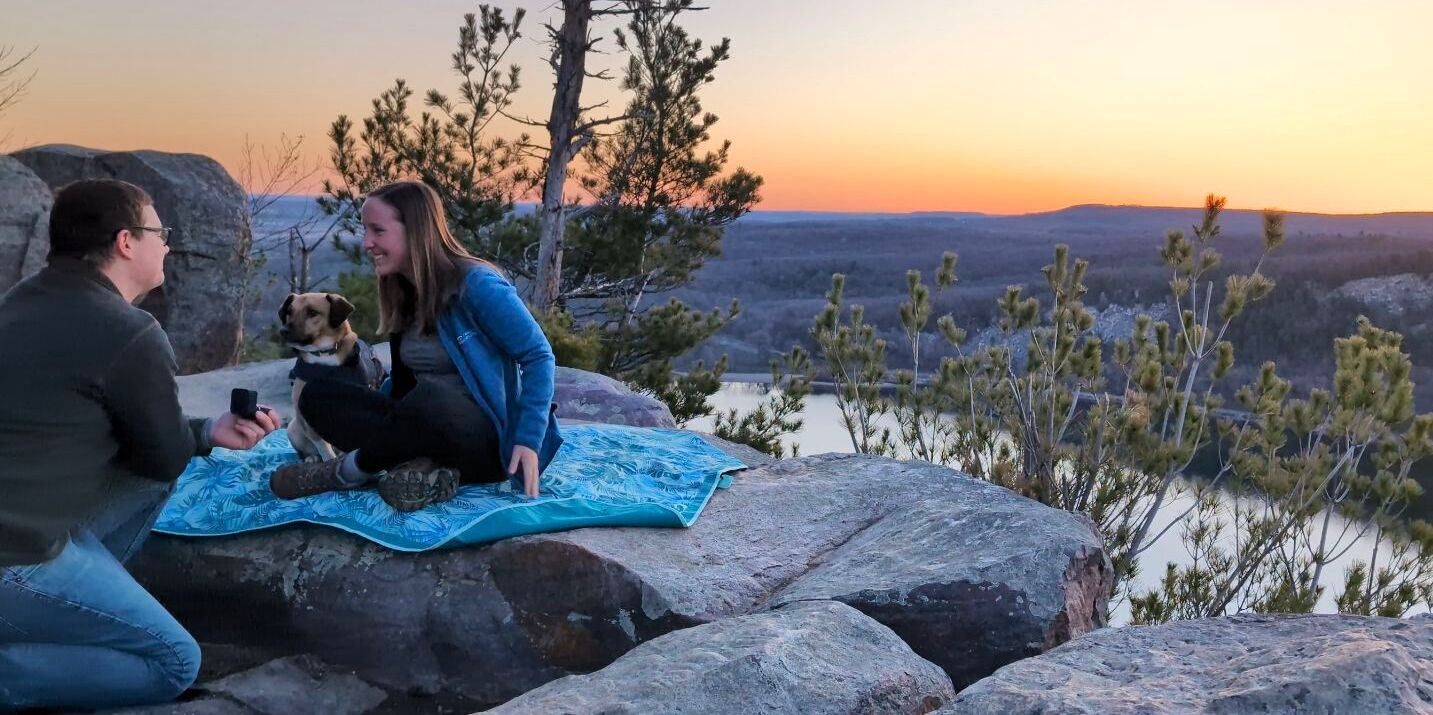 Picture of The Proposal