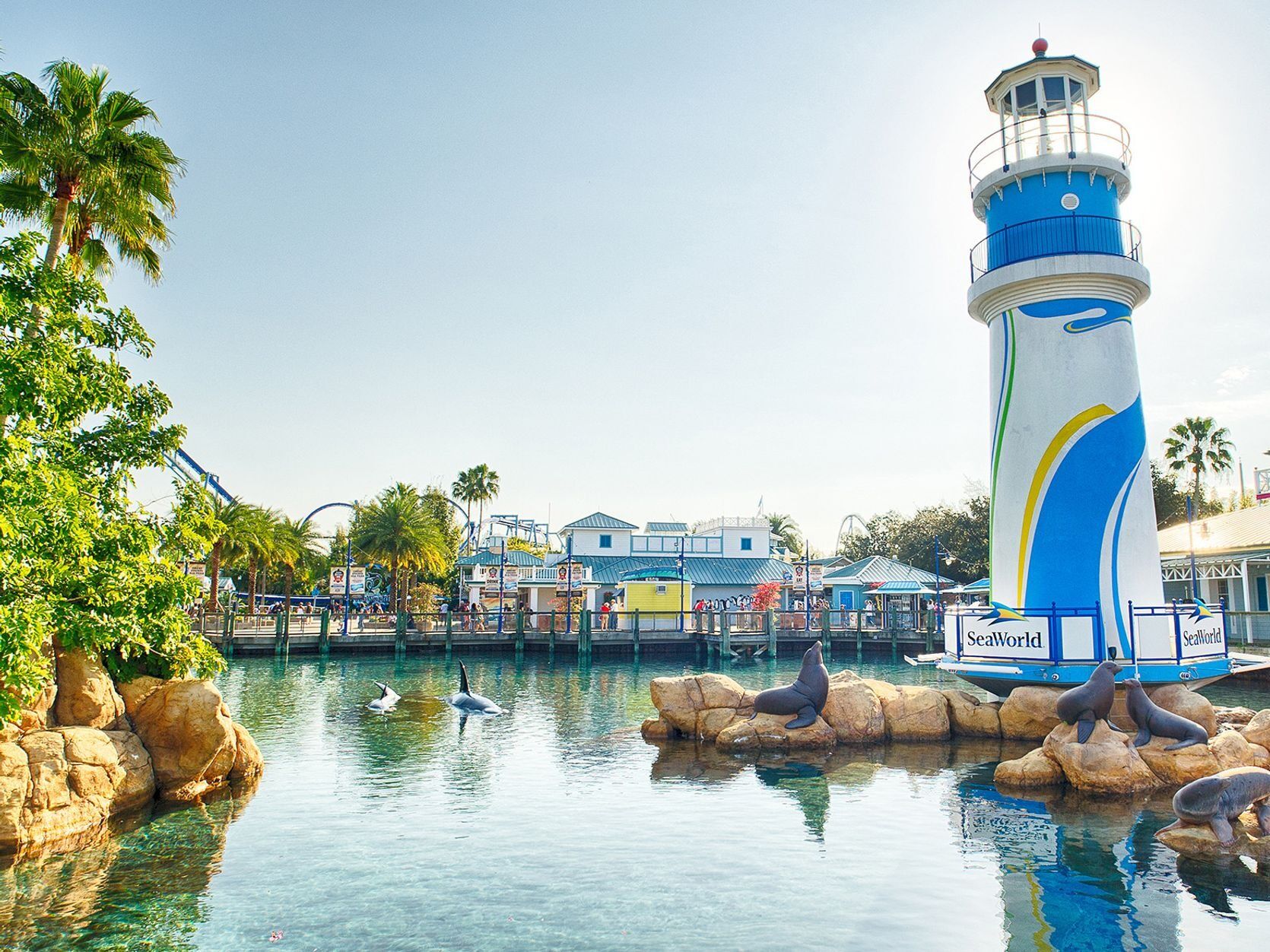 Picture of SeaWorld Orlando