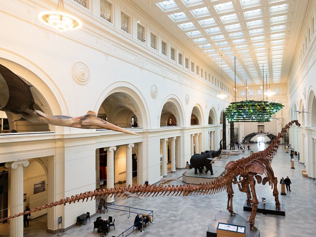 Picture of Field Museum