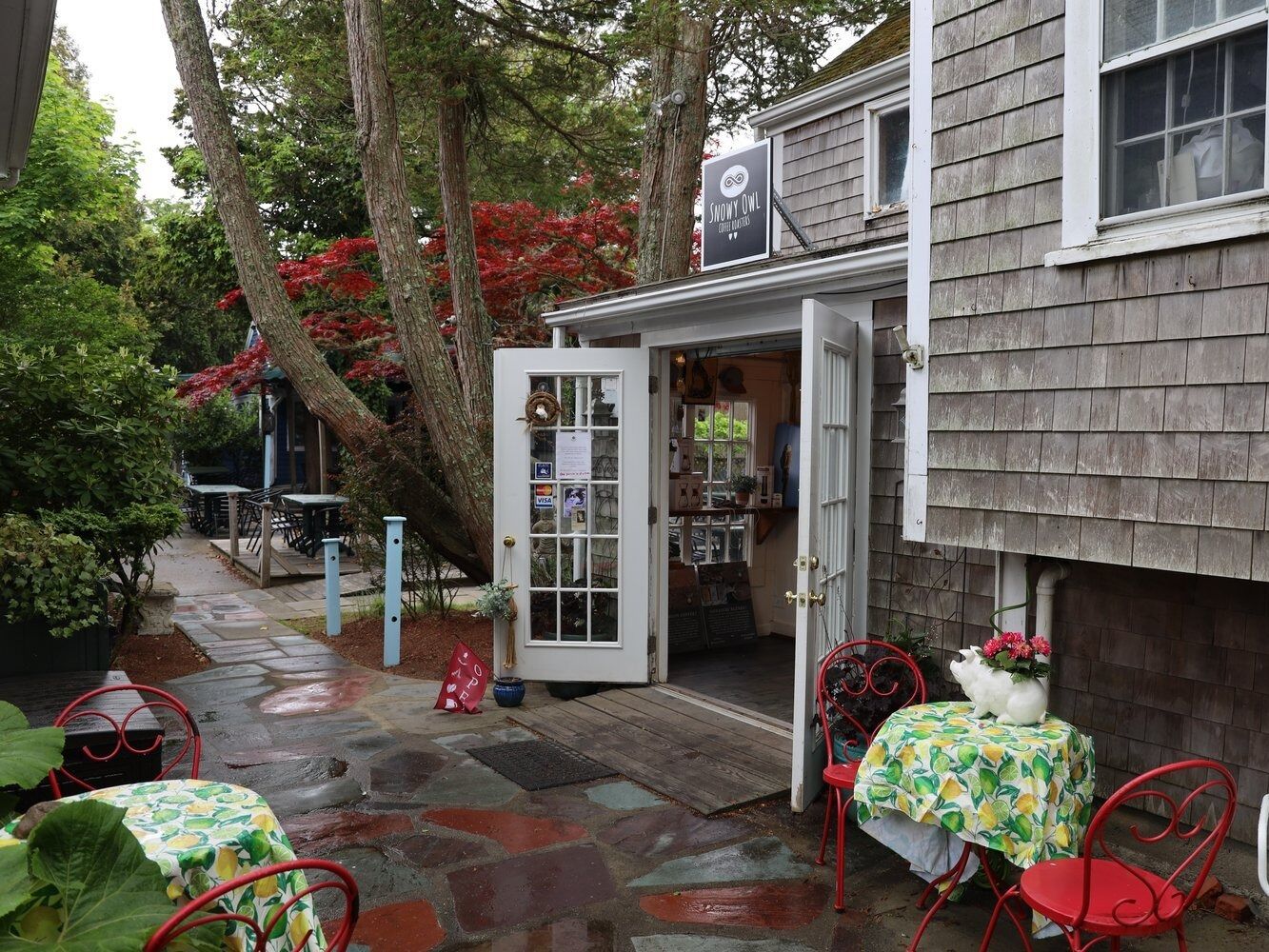 Picture of Snowy Owl Coffee Espresso Bar