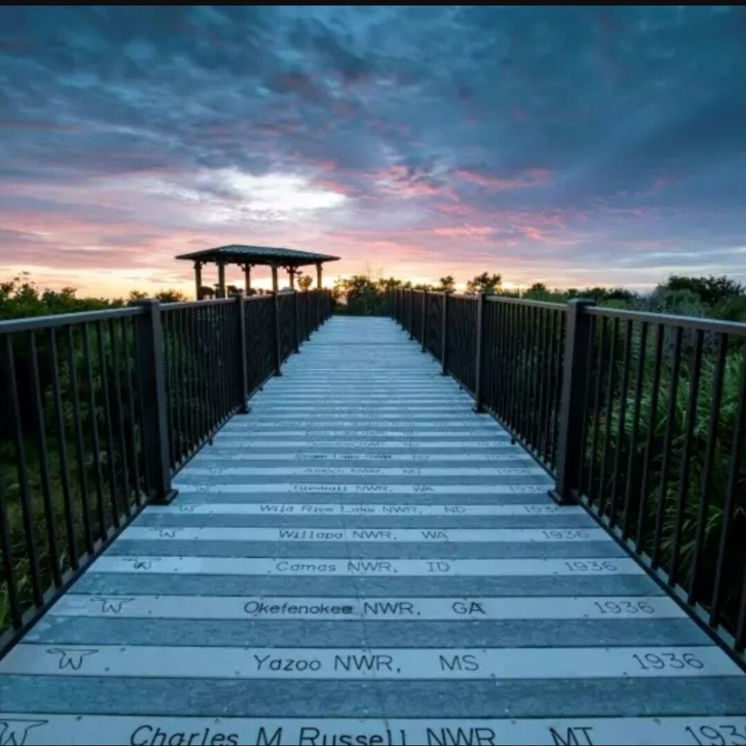 Picture of Pelican Island National Wildlife Refuge