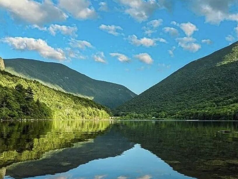 Picture of White Mountain National Forest