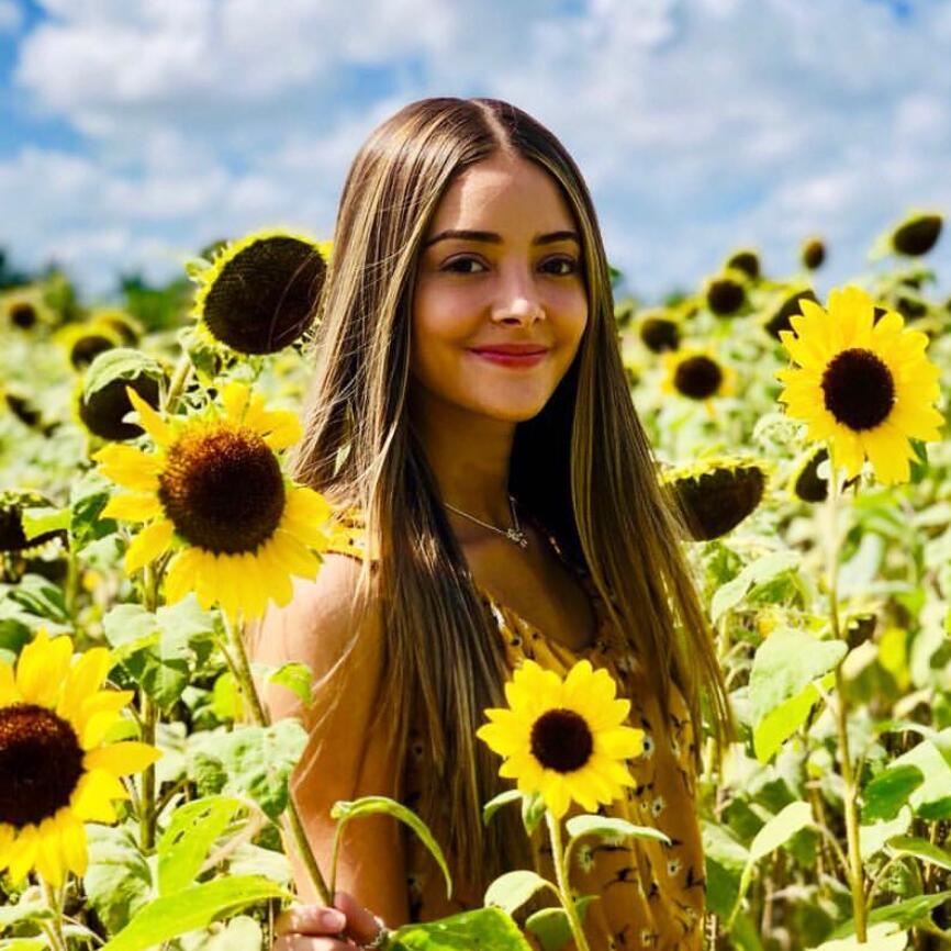 Aleja