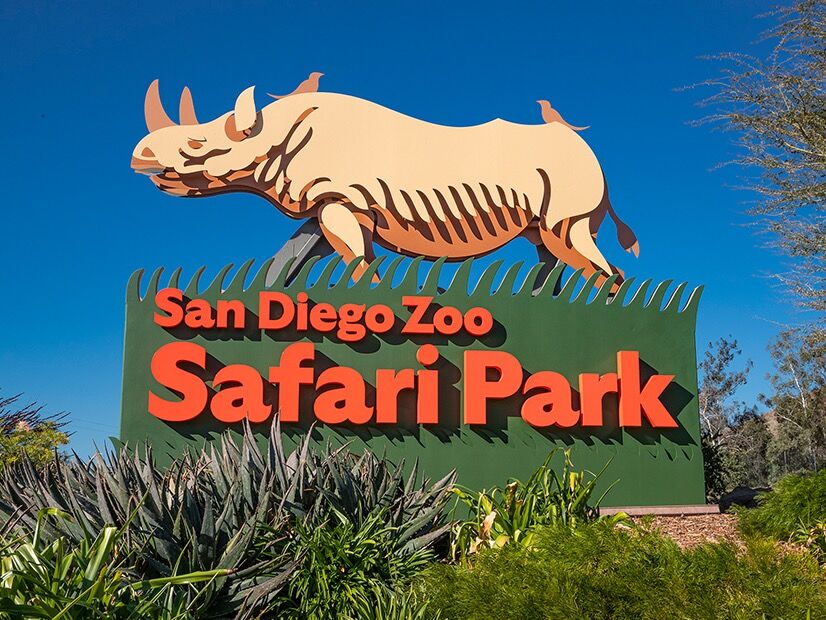 Picture of San Diego Zoo Safari Park