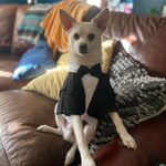 Yoda 