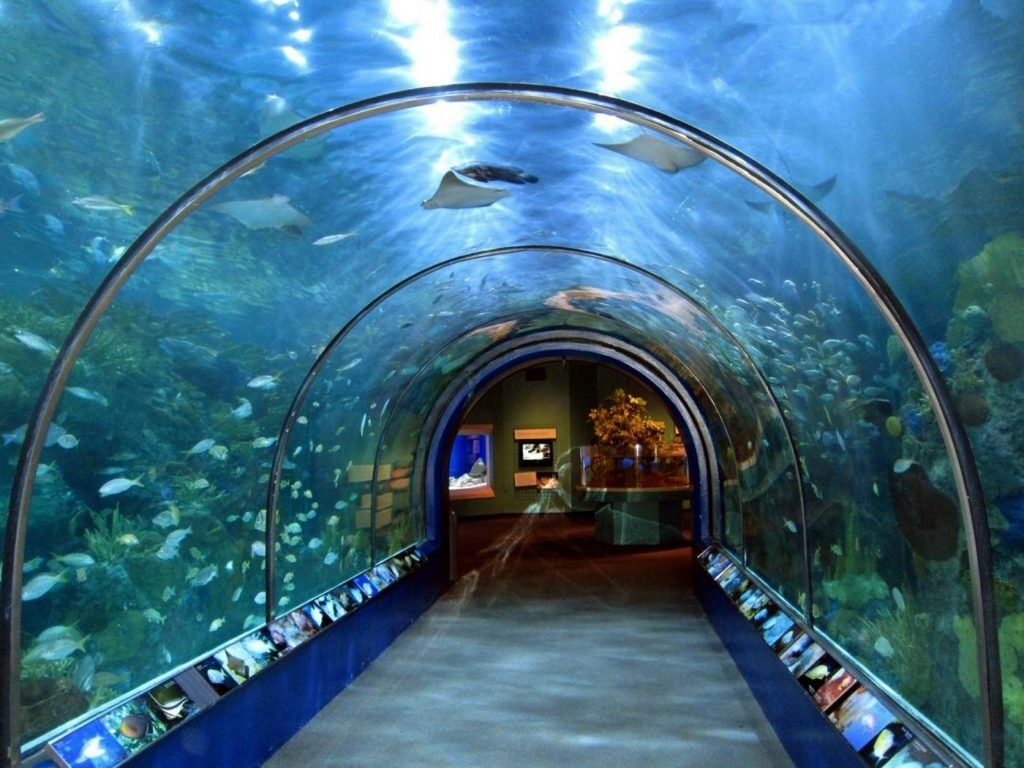 Picture of Maui Ocean Center, The Aquarium of Hawaii