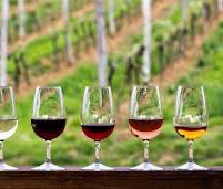 Picture of Wine Tasting At Ponte Winery