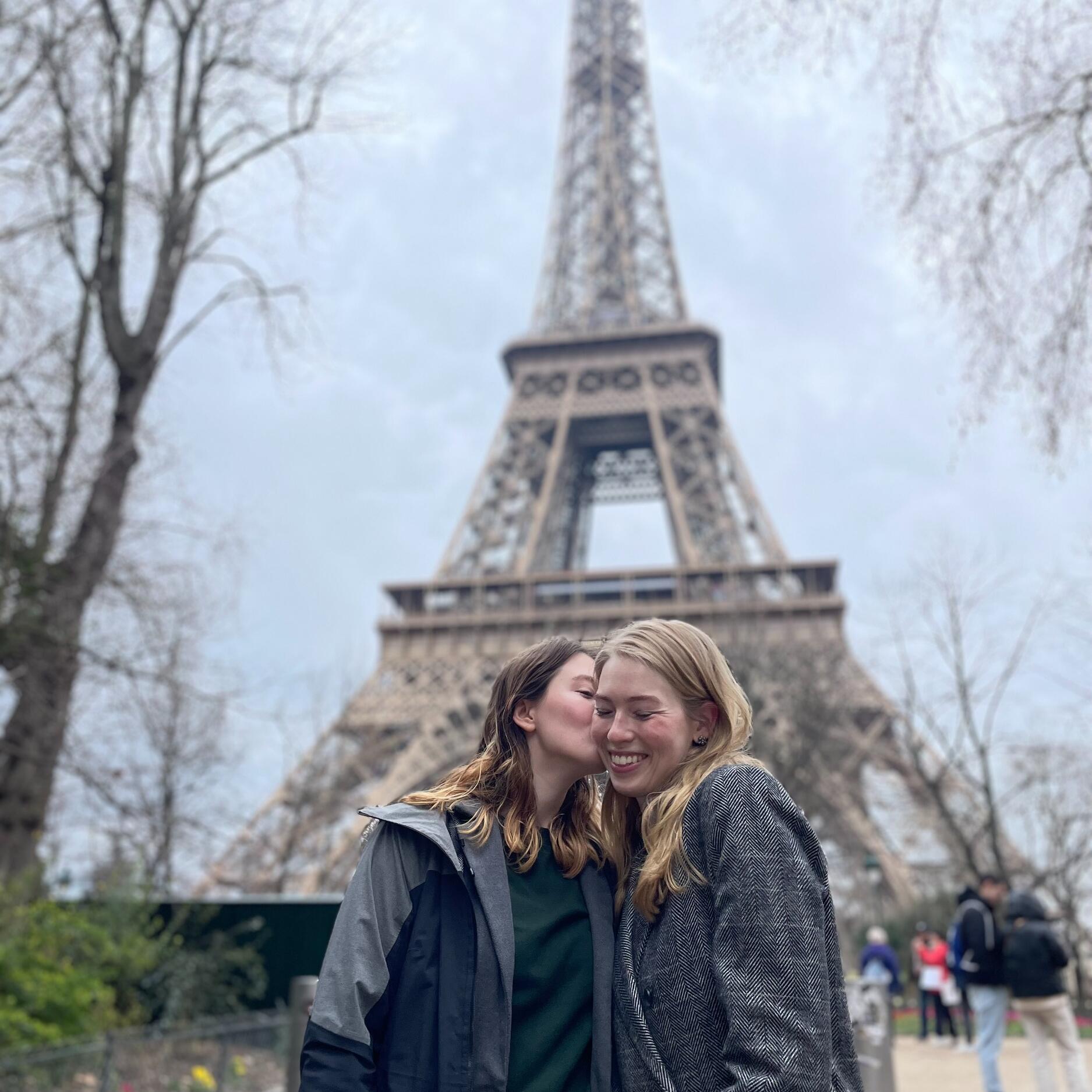Picture of A Parisian Engagement 