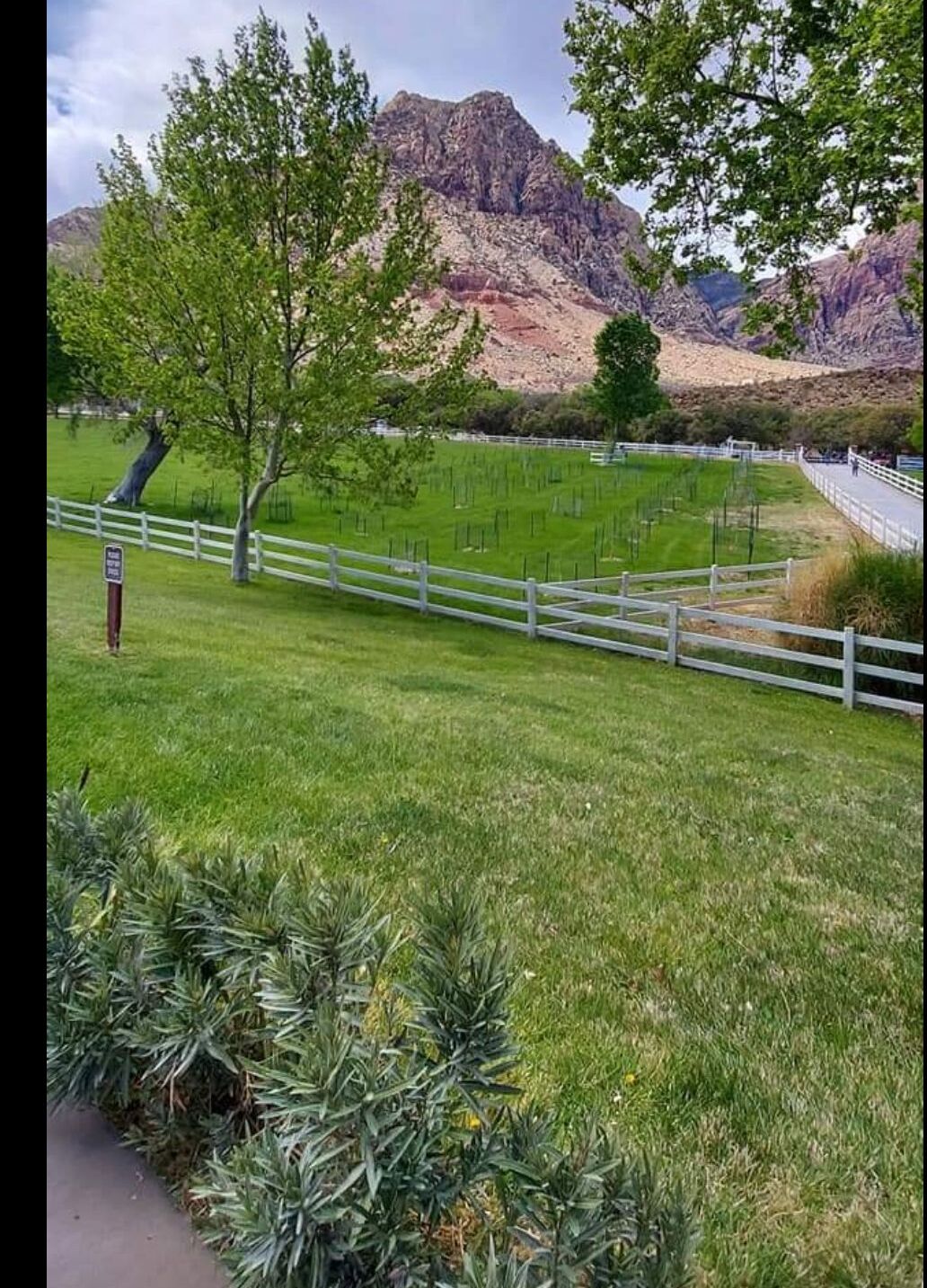 Picture of Spring Mountain Ranch - Rental car only adventure