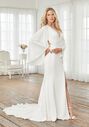 Adrianna Papell Platinum 31240 Wedding Dress - thumbnail - 1