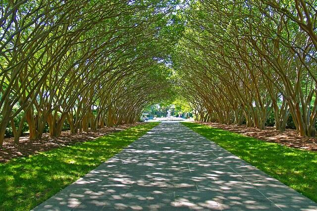 Picture of The Dallas Arboretum and Botanical Gardens