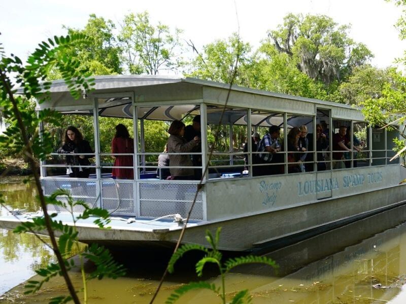 Picture of New Orleans Swamp and Bayou Boat Tour