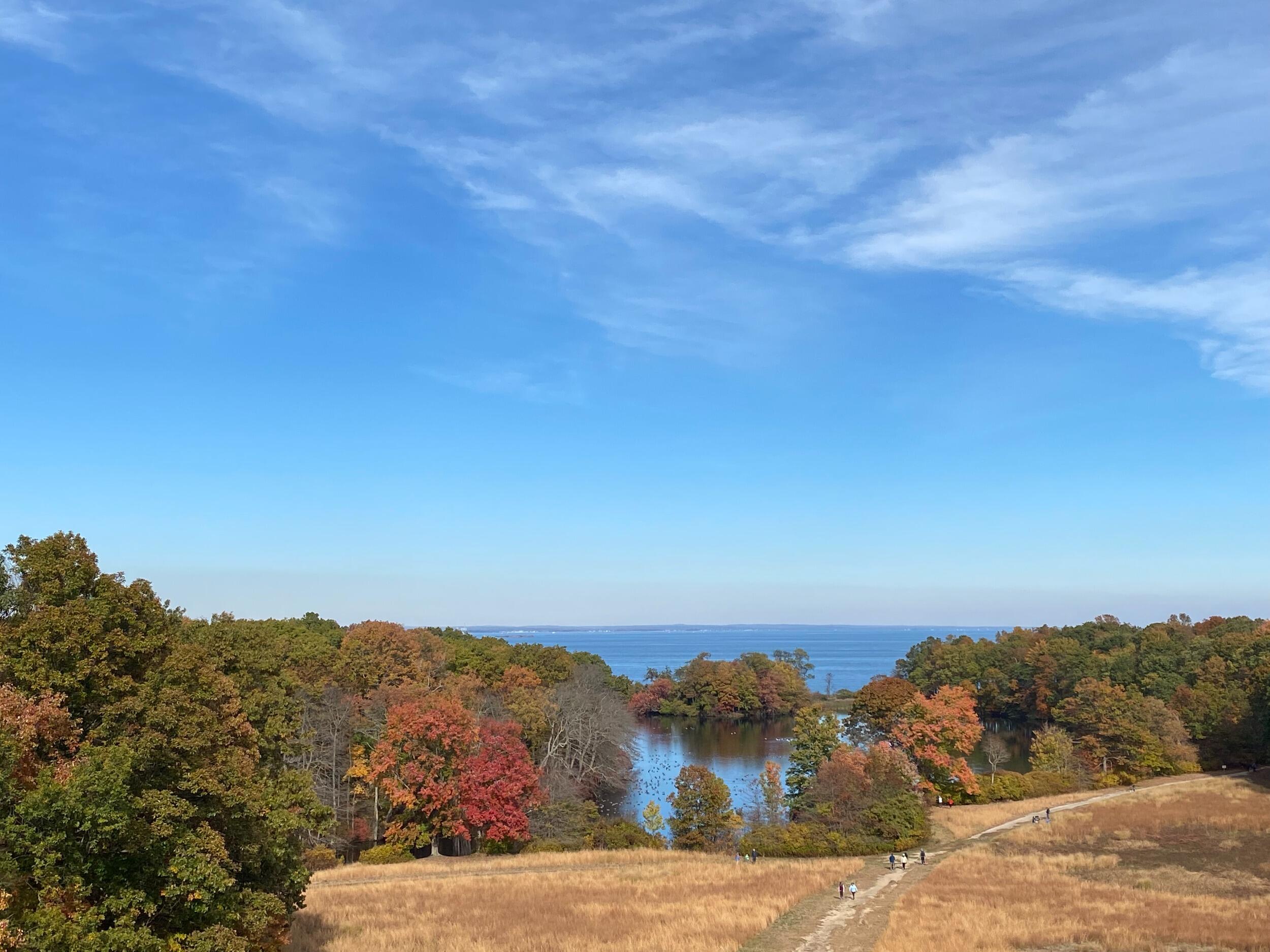 Picture of Caumsett State Historic Park Preserve