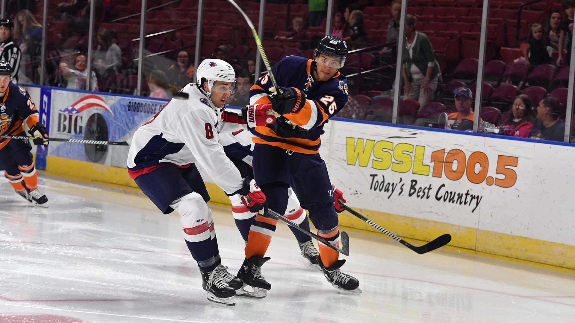 Picture of Greenville Swamp Rabbits