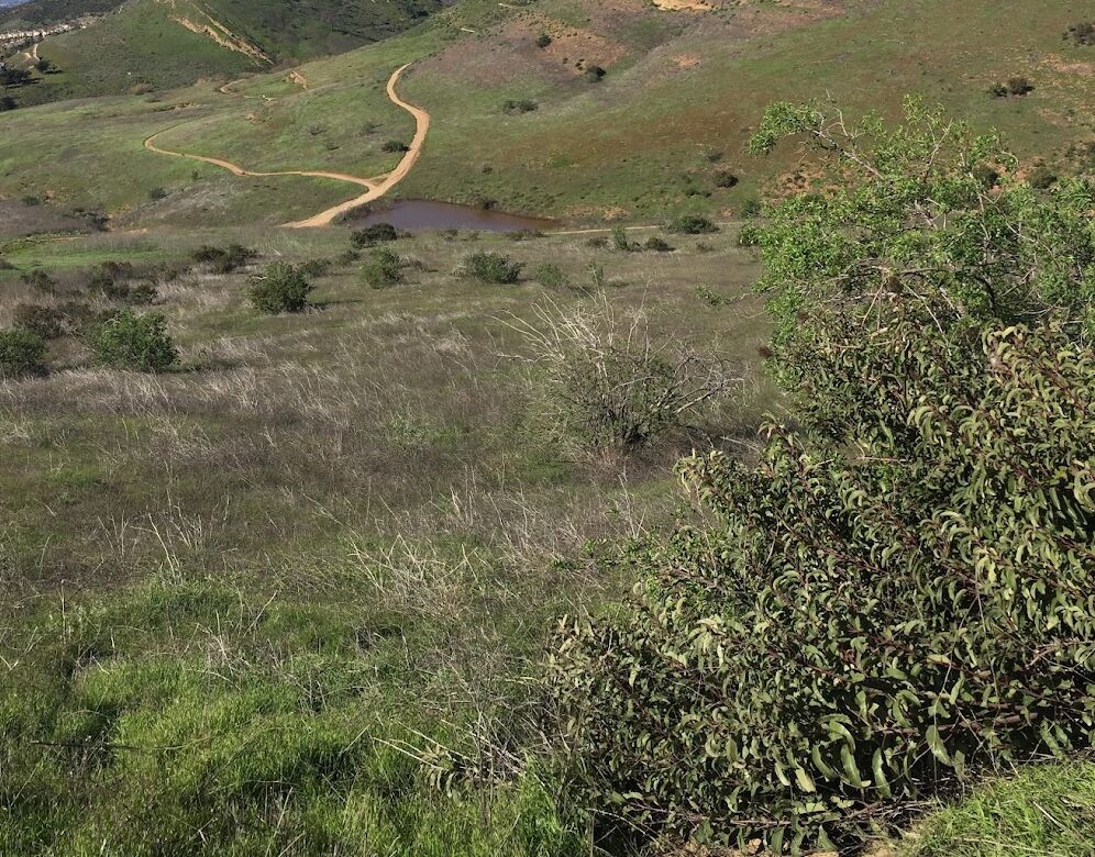 Picture of Long Canyon Trail