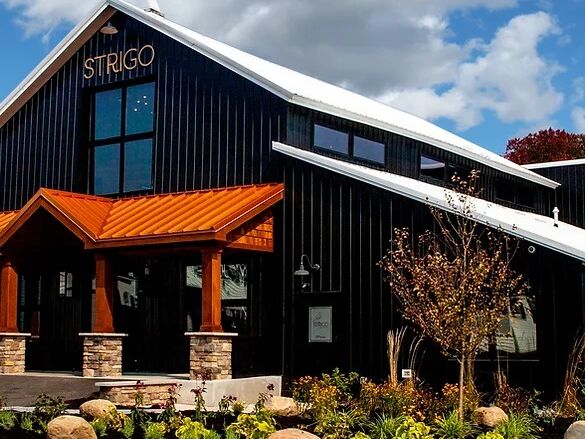 Picture of Strigo Vineyards