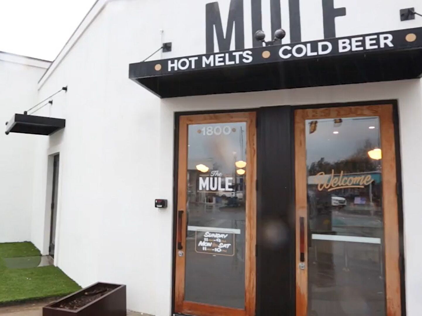 Picture of The Mule