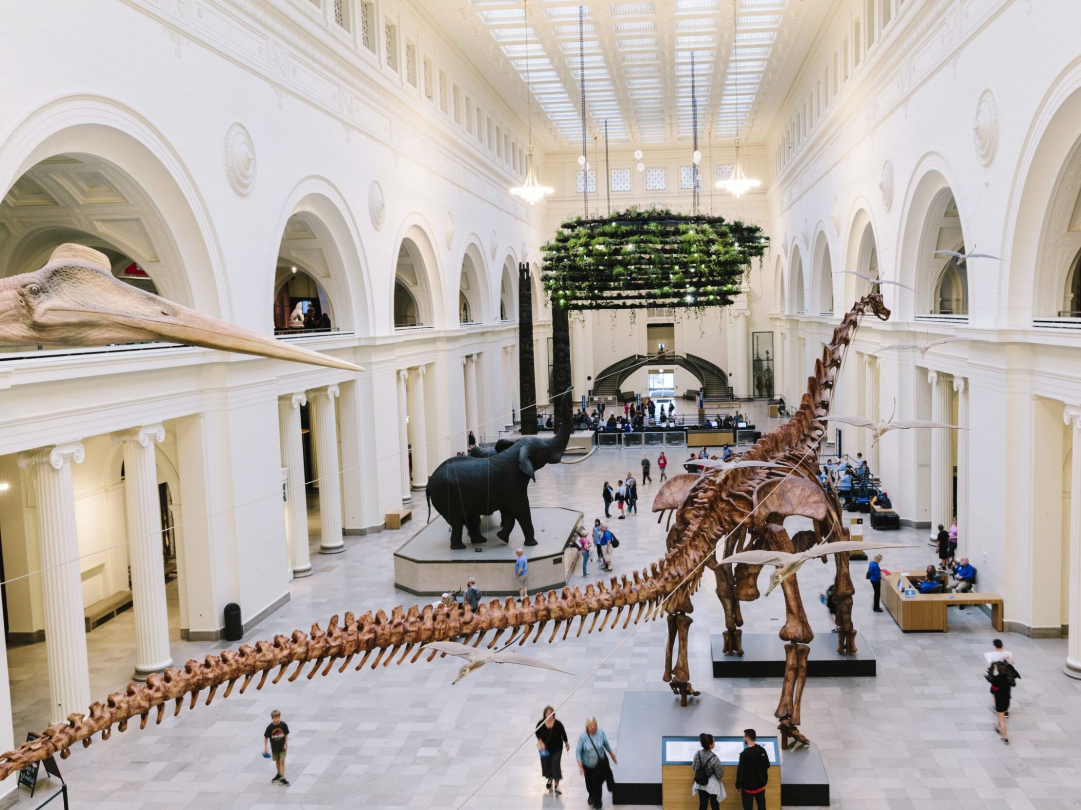 Picture of Field Museum