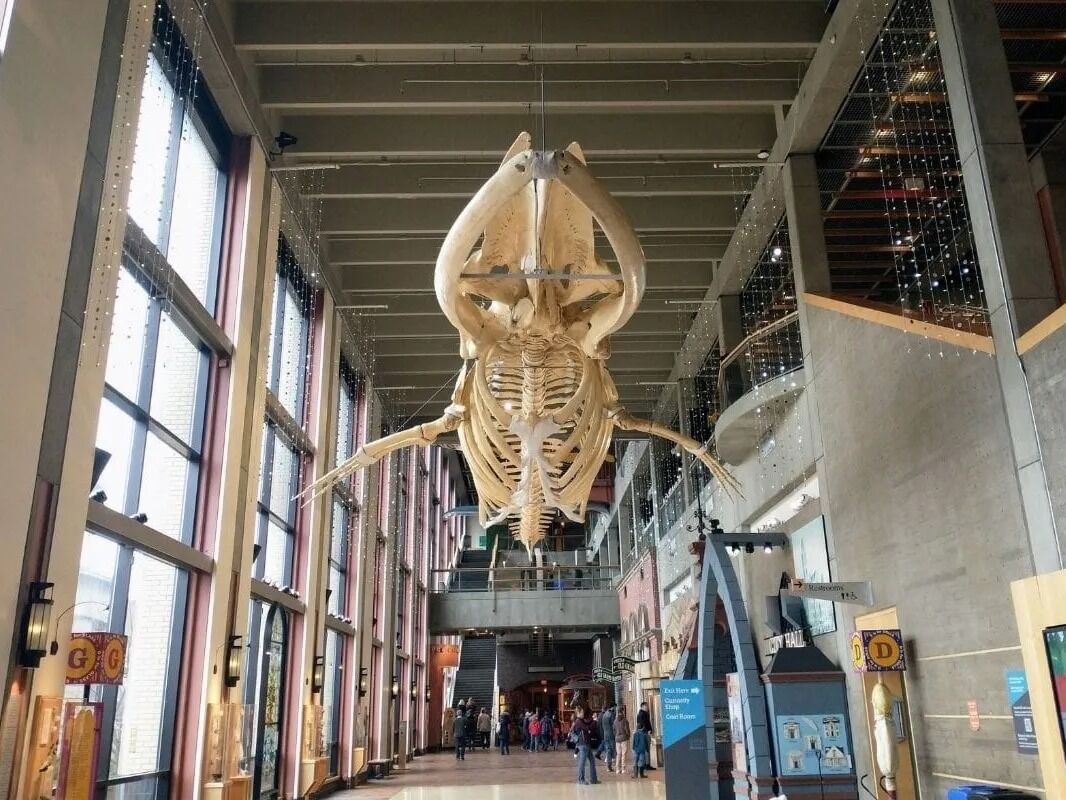 Picture of Grand Rapids Public Museum
