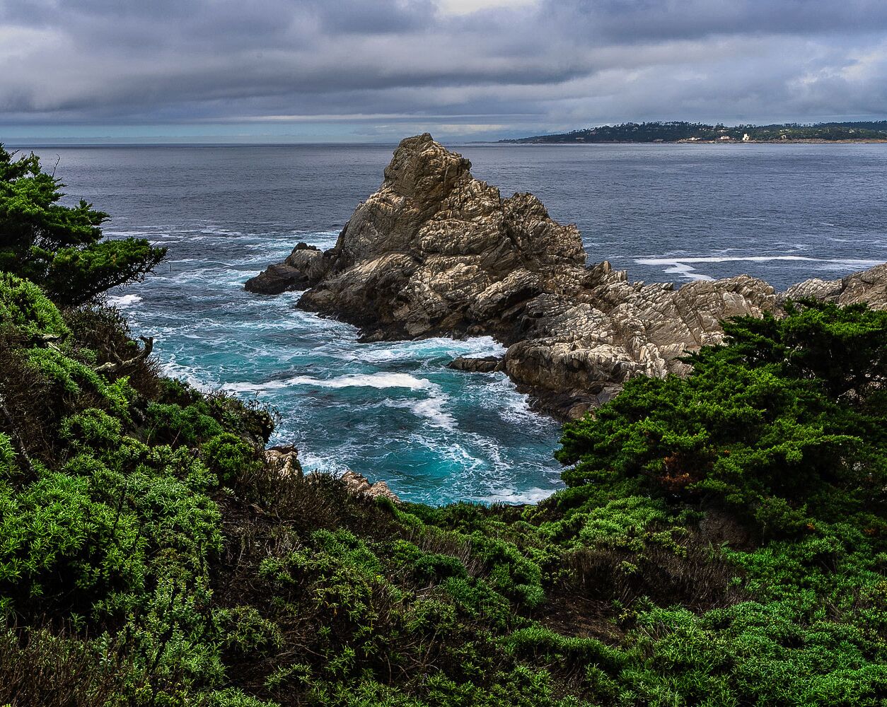 Picture of Point Lobos State Natural Reserve