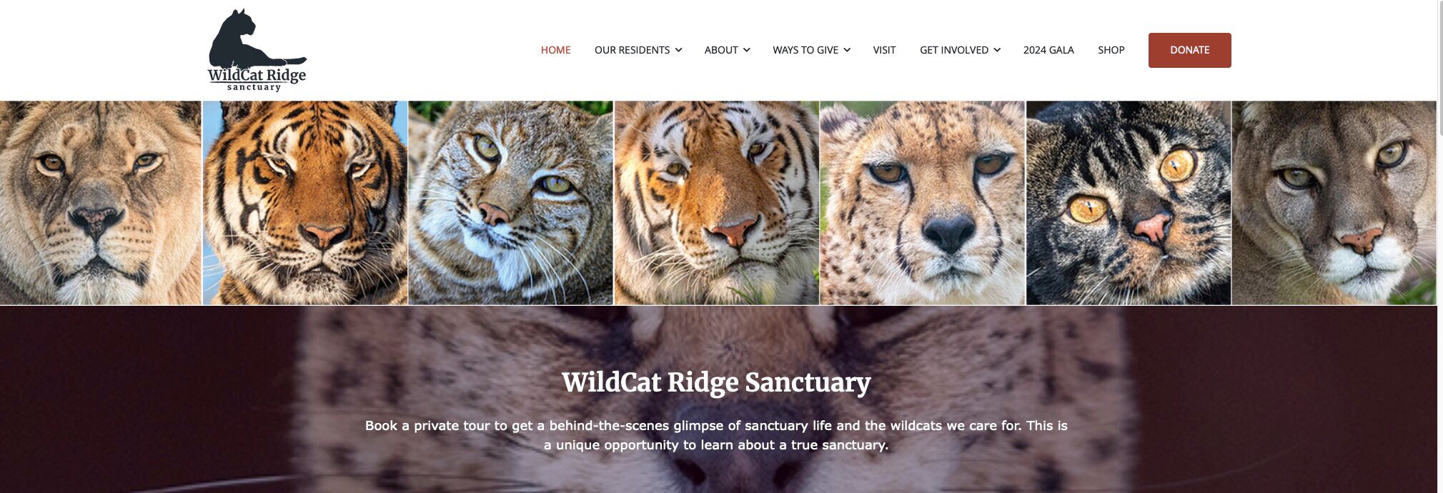Picture of Our Story… 