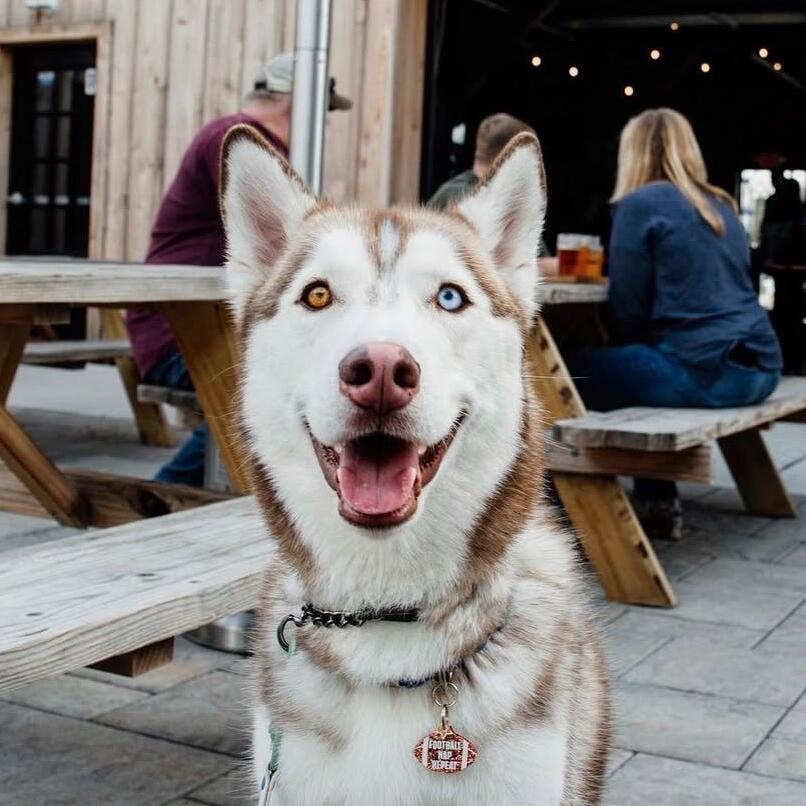 Mako