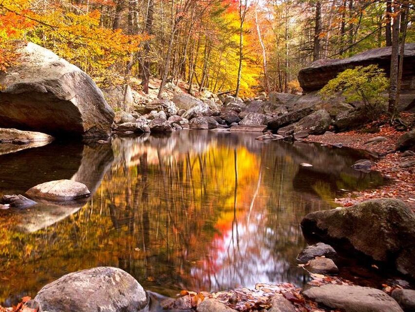 Picture of Bear Mountain State Park