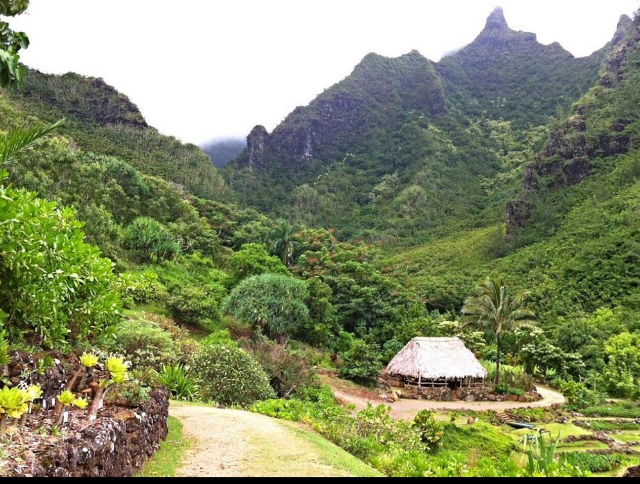 Picture of Limahuli Garden