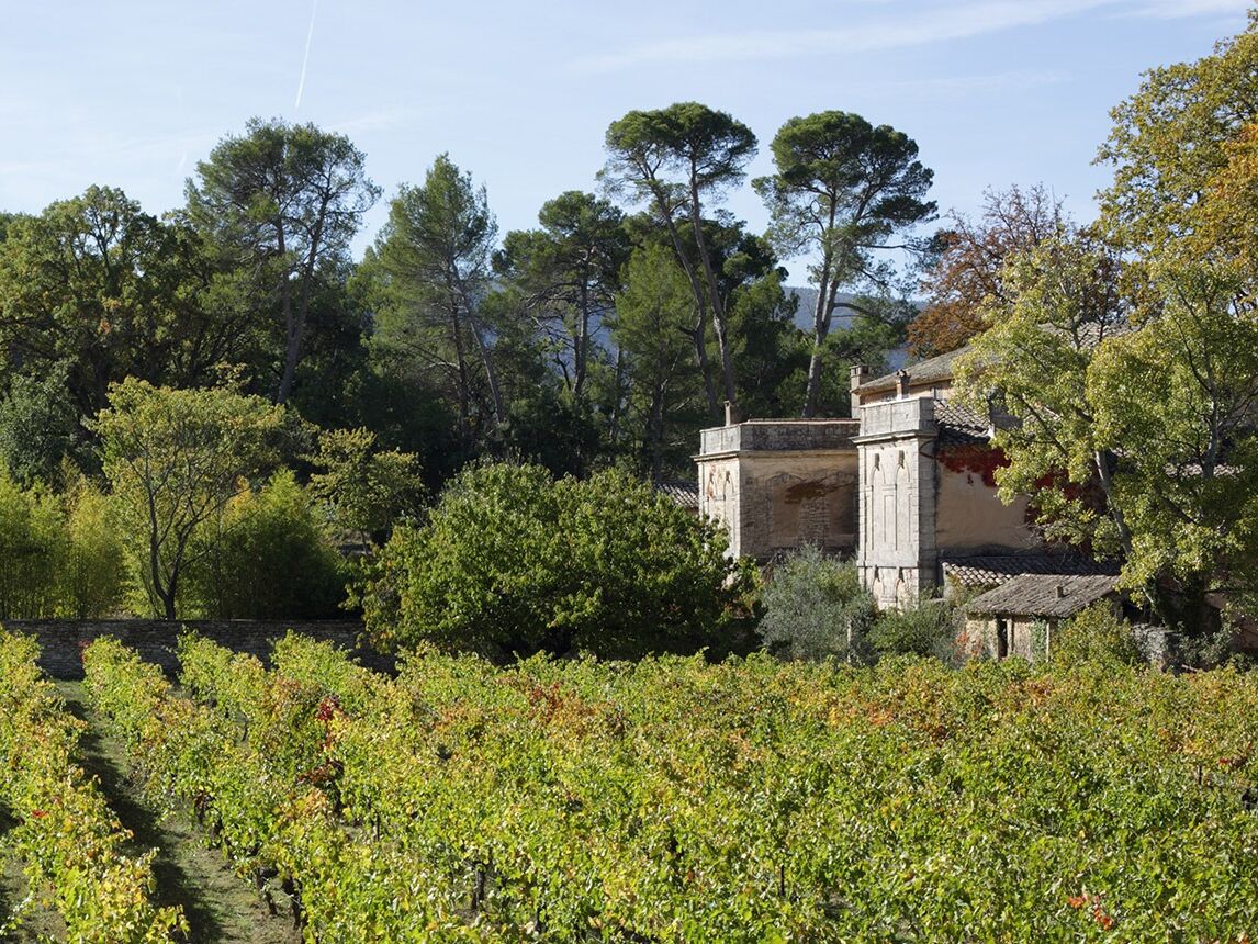 Picture of Château La Canorgue