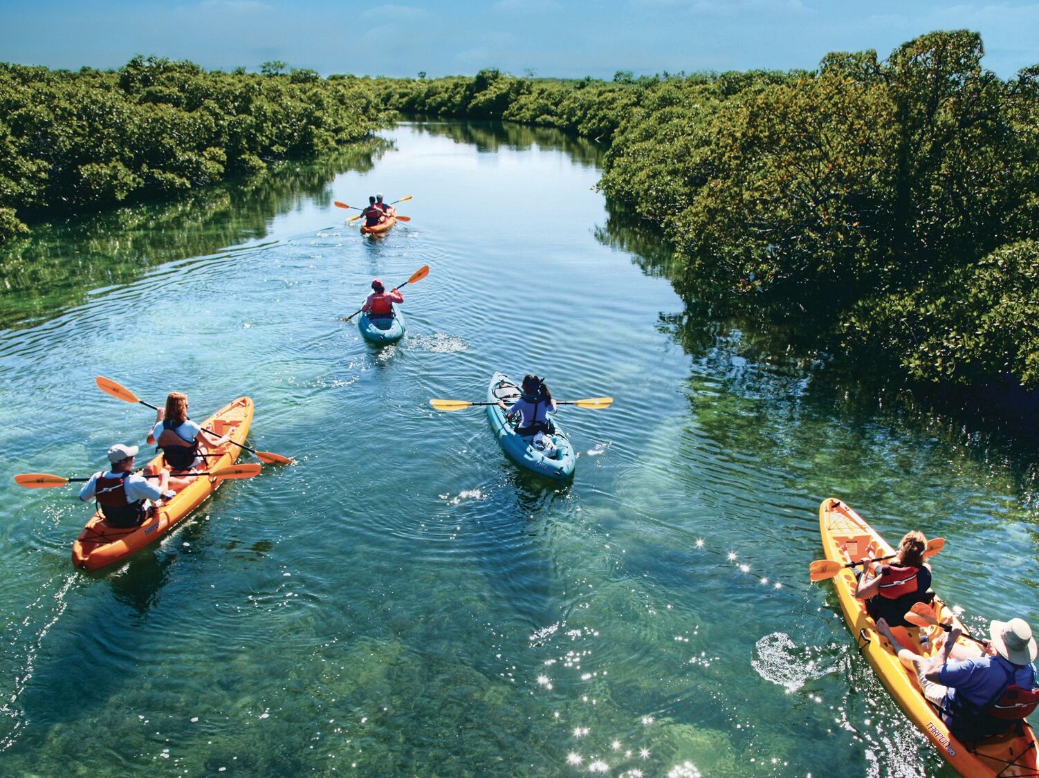 Picture of Kayak Tours
