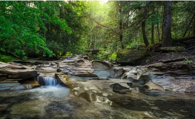Picture of China Bowls (Perseverance Creek/Cumberland Potholes)