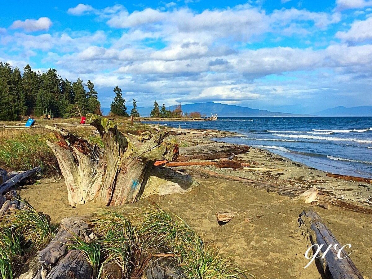 Picture of Rathtrevor Beach Provincial Park