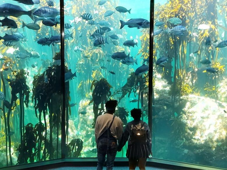 Picture of Two Oceans Aquarium