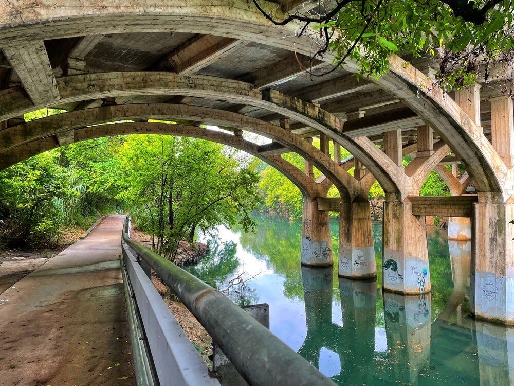 Picture of Lady Bird Lake Town Lake