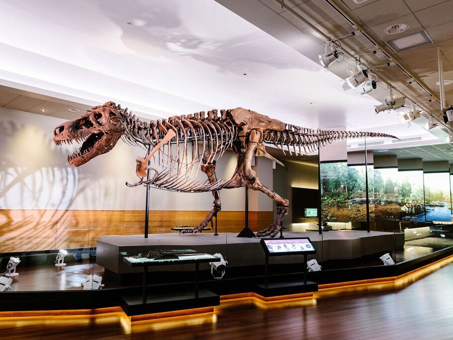 Picture of Field Museum
