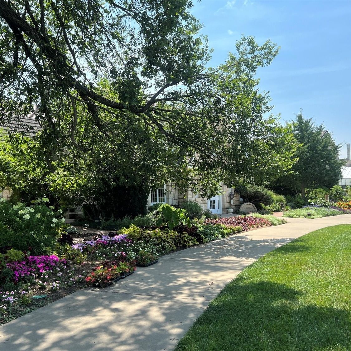 Picture of University Gardens