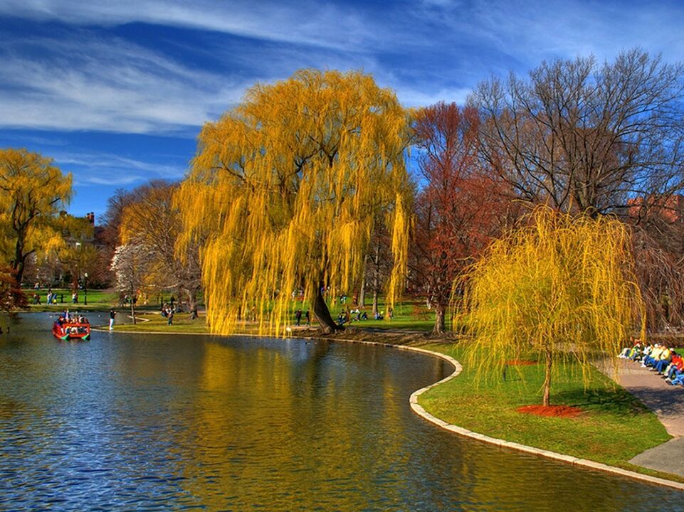 Picture of Public Garden