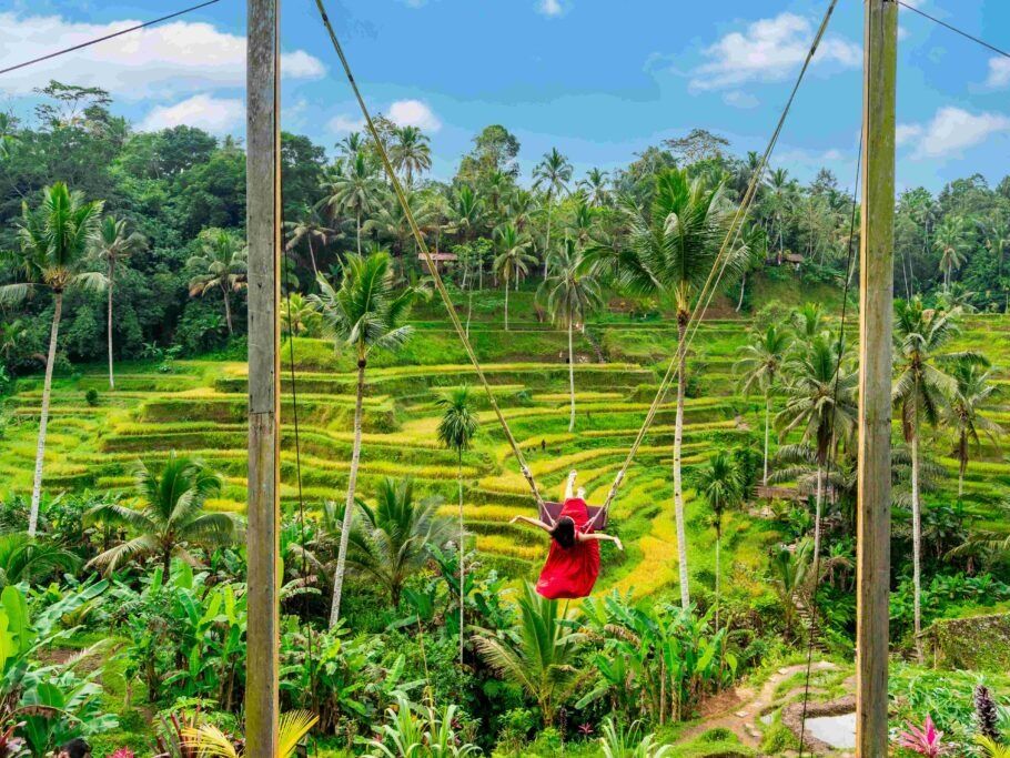 Picture of Tegallalang Rice Terraces