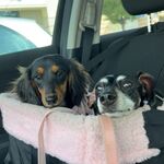 Maggie Mae & Ivy Rae