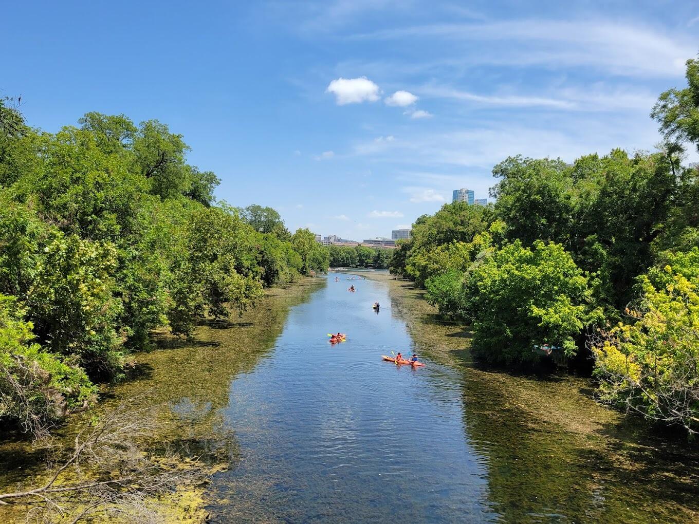 Picture of Zilker Park & Barton Springs