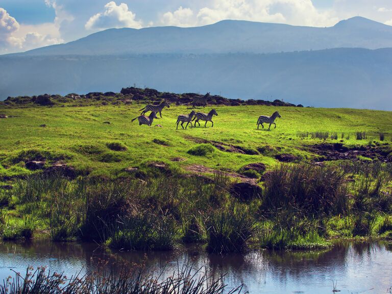 Tanzania honeymoon destination